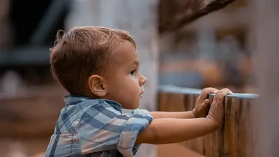 Czy adopcja dziecka jest tajna? Prawo mówi jasno