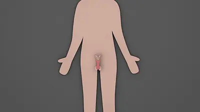 Gadżety wspomagające leczenie urologiczne - Nowe możliwości 